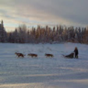 Meet your Posher, Theresa